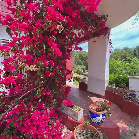 Famara Apartament Lloret de Mar